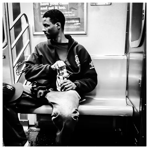 Photograph 104 from F TRAIN LOVESEATS