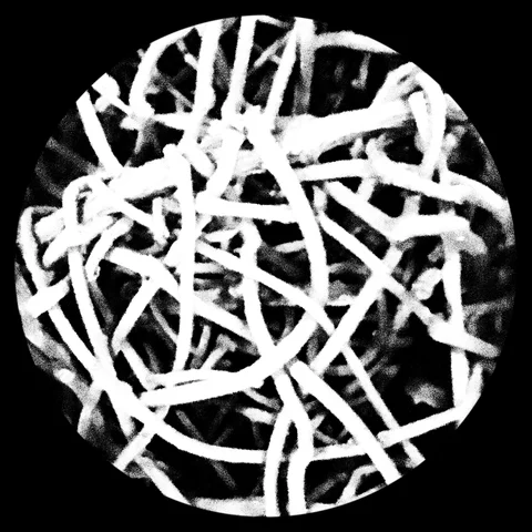 Photograph 161 from THE BLACK HOLE