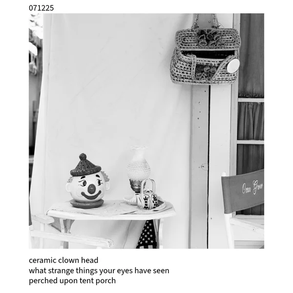The Cuckoo Haiku — July 12, 2025
