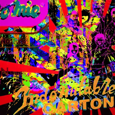 Indomitable digital collage